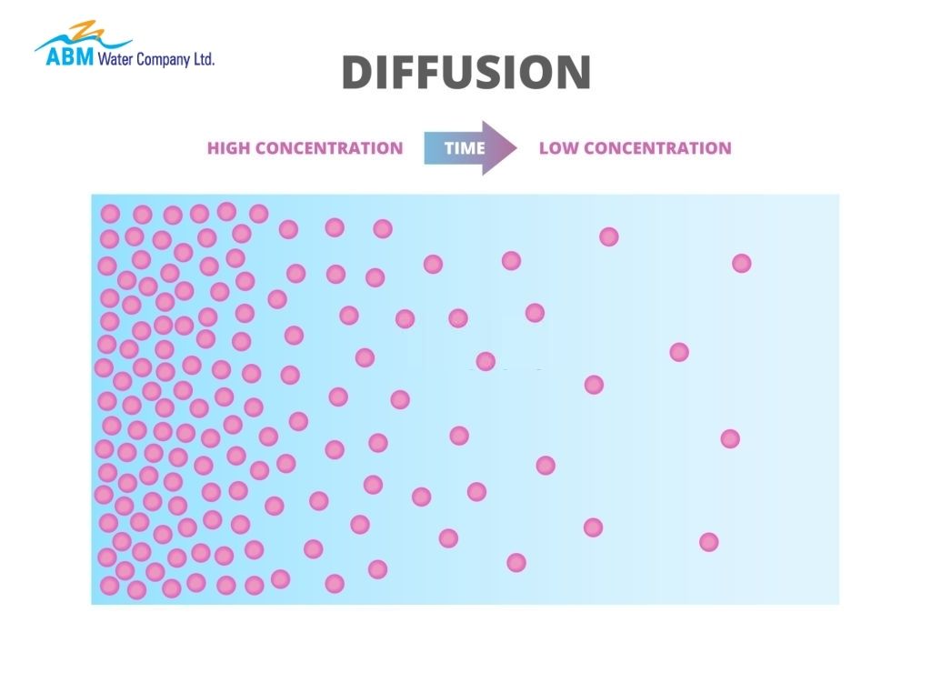 Importance Of Diffusion